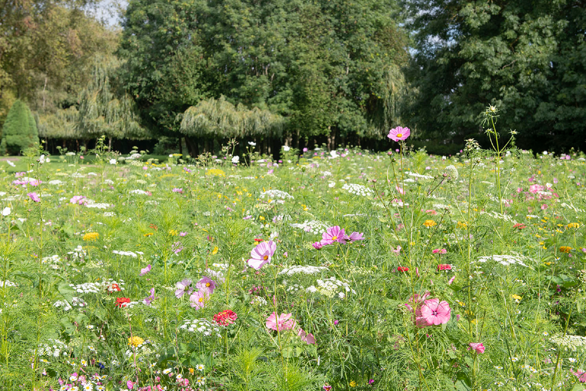 Sustainable events in Norwich.